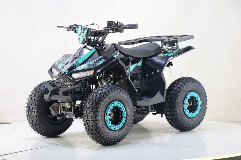 ATV BEMI 125cc Naples automatic DNR 7