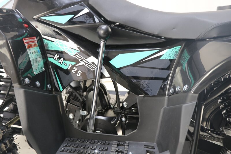 ATV BEMI 125cc Naples automatic DNR 7